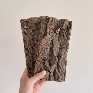 ภาพขนาดย่อของภาพหน้าปกสินค้าเปลือกไม้ ไม้คอร์ก Cork Bark จากธรรมชาติตกแต่งตู้เลี้ยงสัตว์ สำหรับ กบ​ งู​​ ตะขาบ​​ เก๊กโค​ แมงมุม Isopod จากร้าน nakreptiles บน Shopee ภาพที่ 1