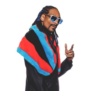 โปสเตอร์ สนูป ด็อกก์ Snoop Dogg Snoop Lion Poster แร็ปเปอร์ Rapper Hiphop ฮิปฮอป โปสเตอร์ ตกแต่งผนัง Music ตกแต่งบ้าน