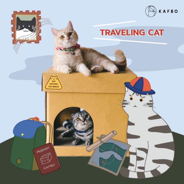 KAFBO CUBE TRAVELING CAT Sticker กล่องบ้านแมว สติ๊กเกอร์ลายแมวสีเงิน ...