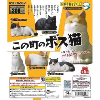 **พร้อมส่ง**กาชาปองน้องแมวเจ้าถิ่น Kono Machi No Boss Cat ของแท้