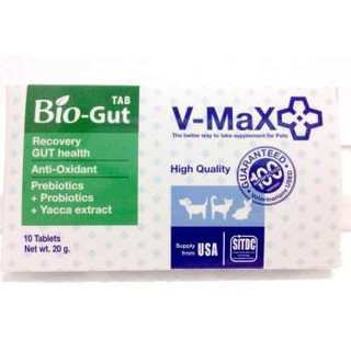 ภาพหน้าปกสินค้าV-max Bio Gut อาหารเสริมช่วยระบบทางเดินอาหาร ช่วยแก้ปัญหาท้องเสีย บรรจุ 10 เม็ด V max biogut ซึ่งคุณอาจชอบราคาและรีวิวของสินค้านี้