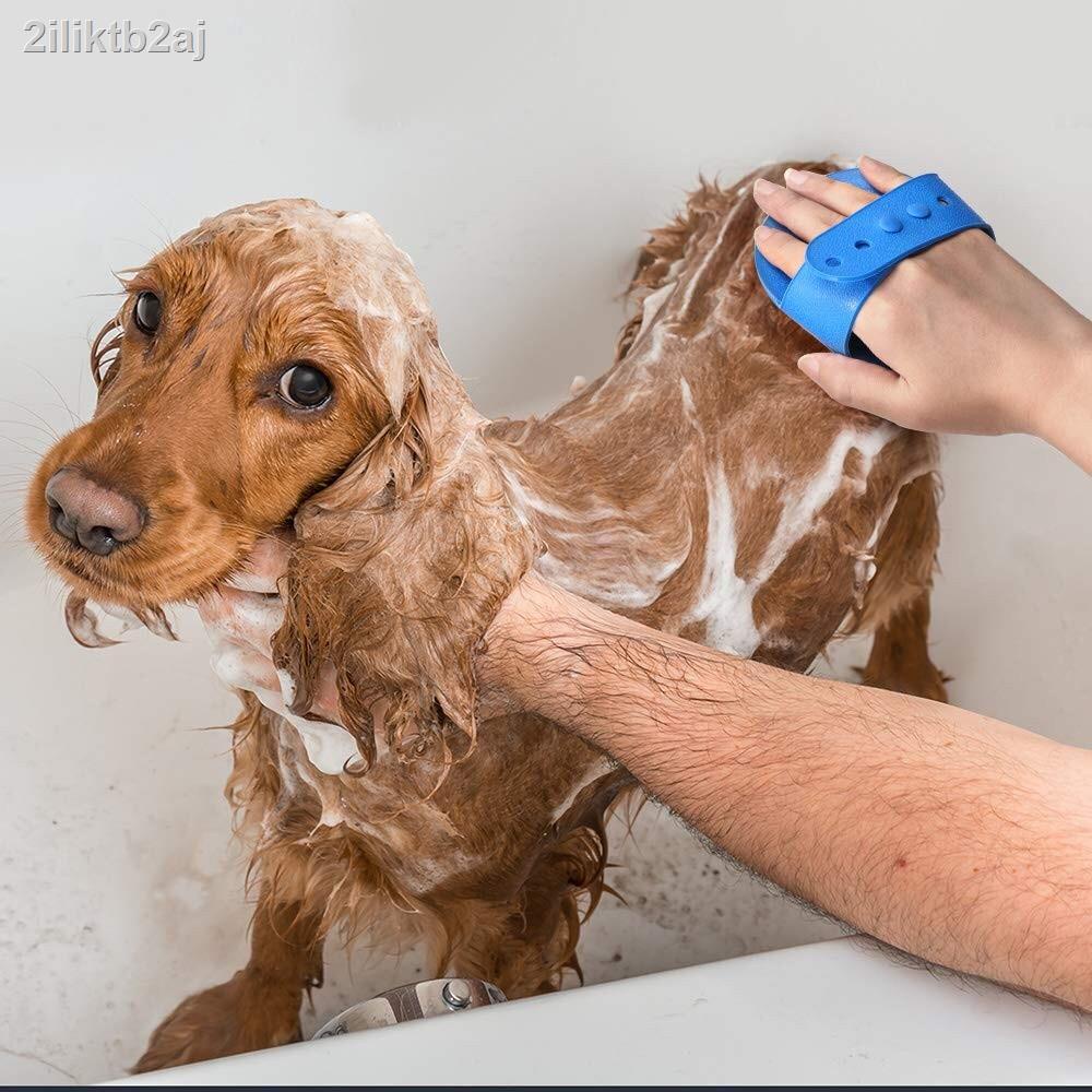 pet-brush-silicone-brush-bath-brush-dog-bath-bath-dog-cat-bath-brush-brush-cat-bath-brush-bath-cat-pet-small-bath-brush