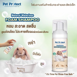 ภาพหน้าปกสินค้าPet Protect โฟมอาบน้ำแห้ง กระต่าย สัตว์เล็ก กำจัดแบคทีเรีย ธรรมชาติ100% 150ml.[RB20] ซึ่งคุณอาจชอบราคาและรีวิวของสินค้านี้