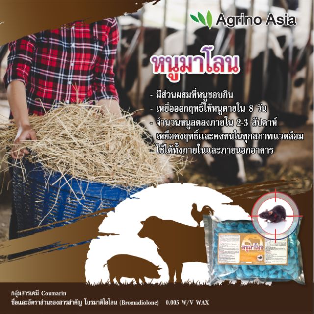 thai-english-chat-info-เหยื่อกำจัดหนู-หนูมาโลน-ขนาด-1-กิโลกรัม-bromadiolone-rodenticide