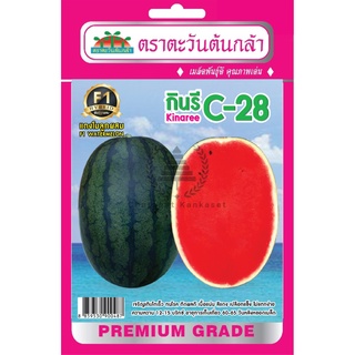 เมล็ดพันธุ์ แตงโมลูกผสม กินรี C-28 บรรจุ 1.5 กรัม/ซอง ตราตะวันต้นกล้า