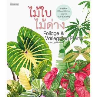 ไม้ใบไม้ด่าง Foliage & Variegated Plants