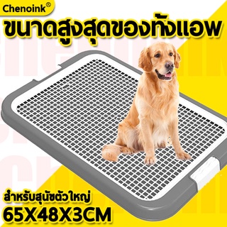 [🔥โค๊ดส่วนลด] ถาดรองฉี่สุนัข 2 ชั้น ฟรี!! ห้องน้ำสุนัข ถาดรองฉี่สุนัข Dog Toilet Tray ห้องน้ำหมาใหญ่