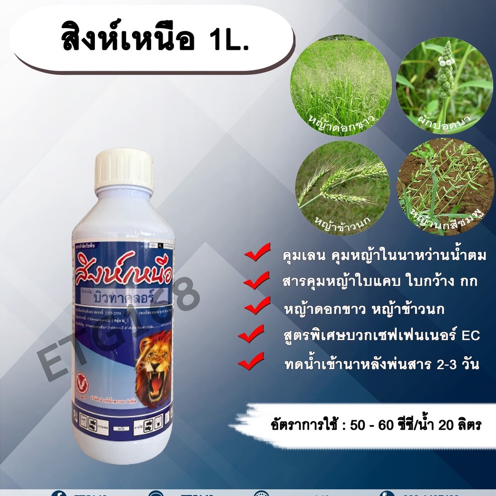 สิงห์เหนือ-1l-บิวทาคลอร์-เซฟเฟนเนอร์-ec-คุมเลน-นาหว่านน้ำตม-สารคุมหญ้า-คุมวัชพืช-คุมหญ้าในนาข้าว-คุมหญ้าใบแคบ-คุมหญ้าใบ