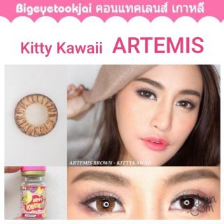 💖 Kitty kawaii Artemis brown gray Contactlens บิ๊กอาย คอนแทคเลนส์ ราคาถูก แถมตลับฟรี