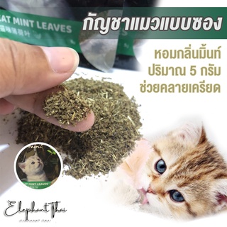 #P010 กัญชาแมว แคทนิป ของเล่นแมว Catnip ของใช้แมว อุปกรณ์แมว ผงแคทนิปแมว ราคาถูก ขนาด 5 กรัม