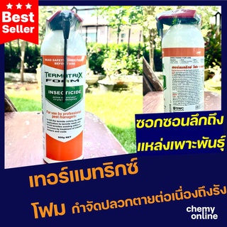 Termatrix Foam เทอร์มาทริกซ์ โฟม โฟมกำจัดปลวก ฆ่าปลวก ขนาด 500 กรัม