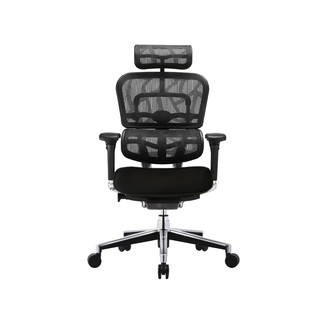 DF Prochair | เก้าอี้เพื่อสุขภาพ รุ่น Ergo2 MF