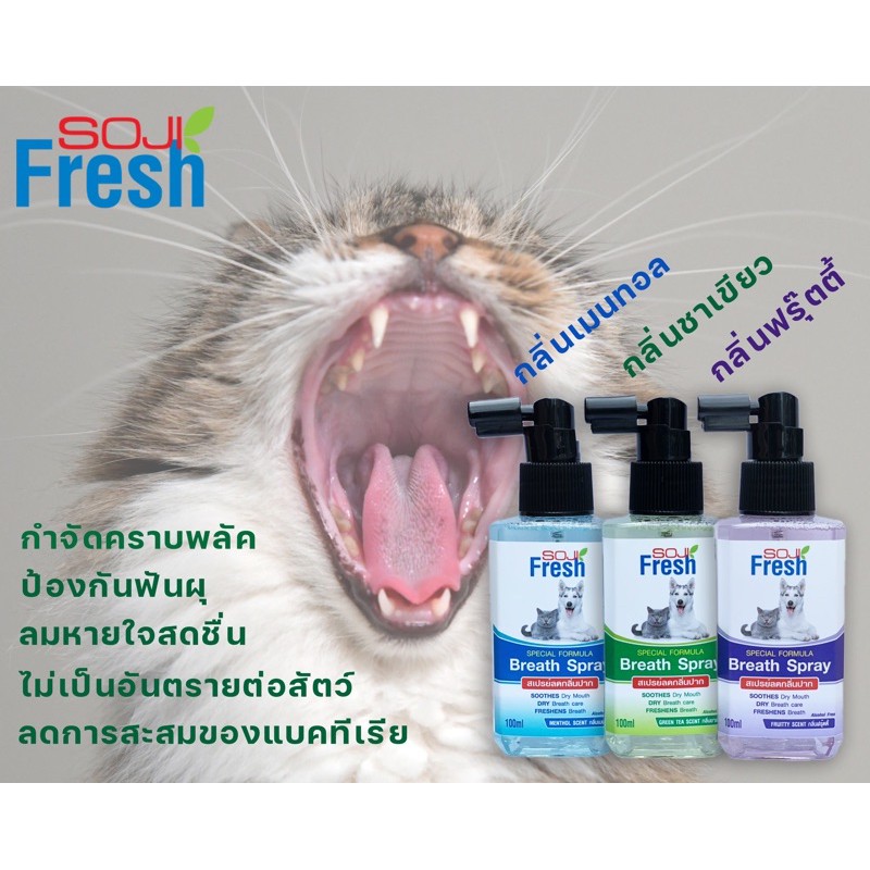 รูปภาพสินค้าแรกของลดแรง Soji fresh โซจิ เฟรซ สเปรย์ลดกลิ่นปากสุนัข แมว ดับกลิ่นปากหมา ดับกลิ่นปากแมว