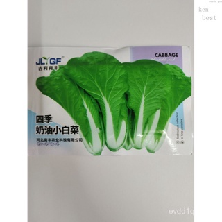 2000 seeds White stemmed Chinese Cabbage White stemmed เมล็ดกะหล่ำปลี seeds Z0IA