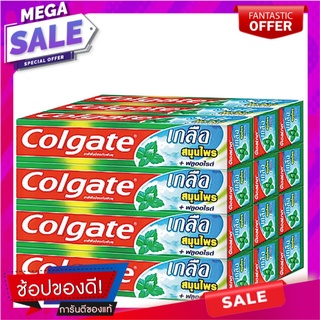 คอลเกต ยาสีฟัน สูตรเกลือ สมุนไพร 35 กรัม x 12 กล่อง ผลิตภัณฑ์ดูแลช่องปากและฟัน Colgate Toothpaste Salt Herbal 35g x 12 p