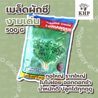 ภาพหน้าปกสินค้าเมล็ดพันธุ์ ผักชี พันธุ์ งามเด่น ตรา สิงโต 🌿 โตไว กอใหญ่ รากใหญ่ น้ำหนักดี ปลูกได้ทุกฤดู 🌿 บรรจุ 500 กรัม ที่เกี่ยวข้อง