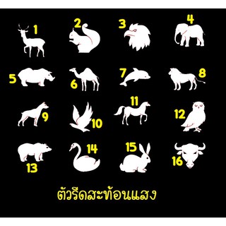 ภาพหน้าปกสินค้าตัวรีดสะท้อนแสง รีเฟล็กซ์ set 11 ซึ่งคุณอาจชอบราคาและรีวิวของสินค้านี้