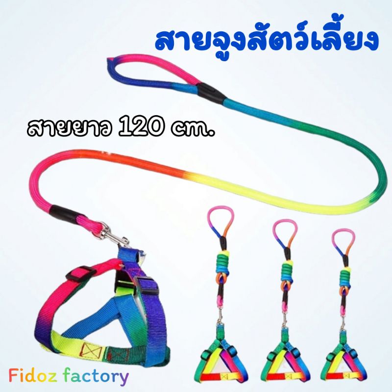 fidoz-factory-สายจูงสุนัข-เชือกจูงสัตว์-เลี้ยง-สายจูงหมา-แมว-เชือกฝึกหมา