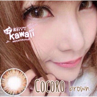 Cocoro Brown / mini Cocoro Brown (1)(2) น้ำตาล สีน้ำตาล Kitty Kawaii Contact Lens Bigeyes คอนแทคเลนส์ ค่าสายตา สายตาสั้น