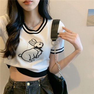เสื้อยืด คอกลม แขนสั้น ลายการ์ตูนกระต่ายน่ารัก ทรงหลวม สไตล์เกาหลี สําหรับผู้หญิง
