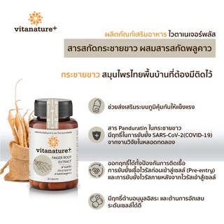 ภาพขนาดย่อของภาพหน้าปกสินค้าVitanature+ Finger root extract with Plu kaow 1 กระปุก ไวตาเนเจอร์พลัส สารสกัดกระชายขาว ผสมสารสกัดพลูคาว จากร้าน vitanature บน Shopee ภาพที่ 3