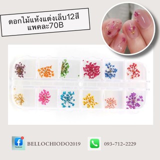 ดอกไม้แห้ง12สีสำหรับตกแต่งเล็บ