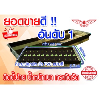 กระบะปลูกผัก กระถางปลูกผัก ปลูกผัก กะบะปลูกผัก กระถางปลูกผักสวนครัว ชุดปลูกผักไฮโดรโปนิกส์  ผ้าใบPVC ขนาด 80x220x30 cm