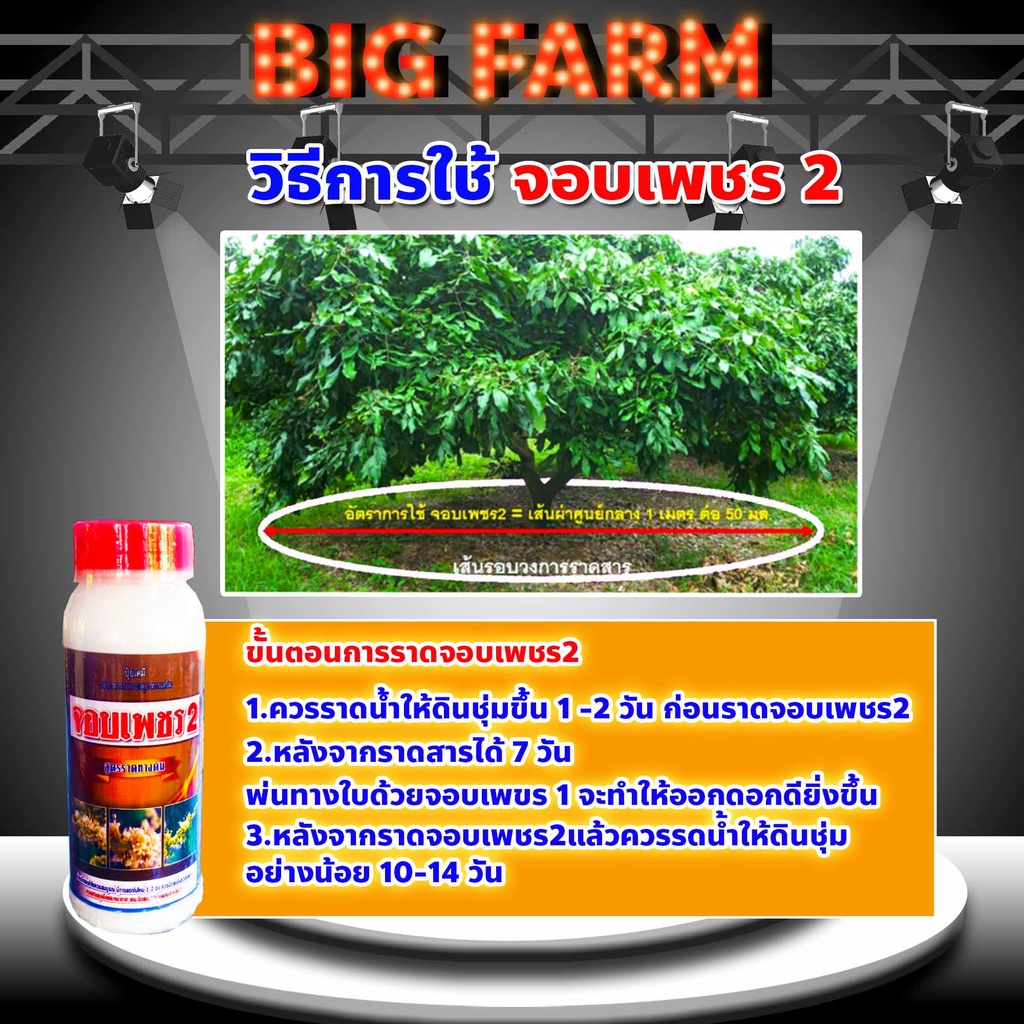 สารเร่ง-ดอกลำไย-จอบเพชร-2-ขนาด-1-ลิตร-สารราดทางดิน-สีน้ำตาล