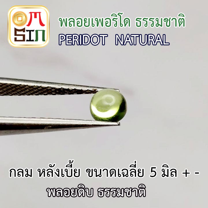 a189-omsin-เฉลี่ย-5-มิล-หลังเบี้ย-กลม-พลอยเพอริโด-peridot-สีเขียวอ่อน-พลอยสด-ไม่เผา-ธรรมชาติแท้