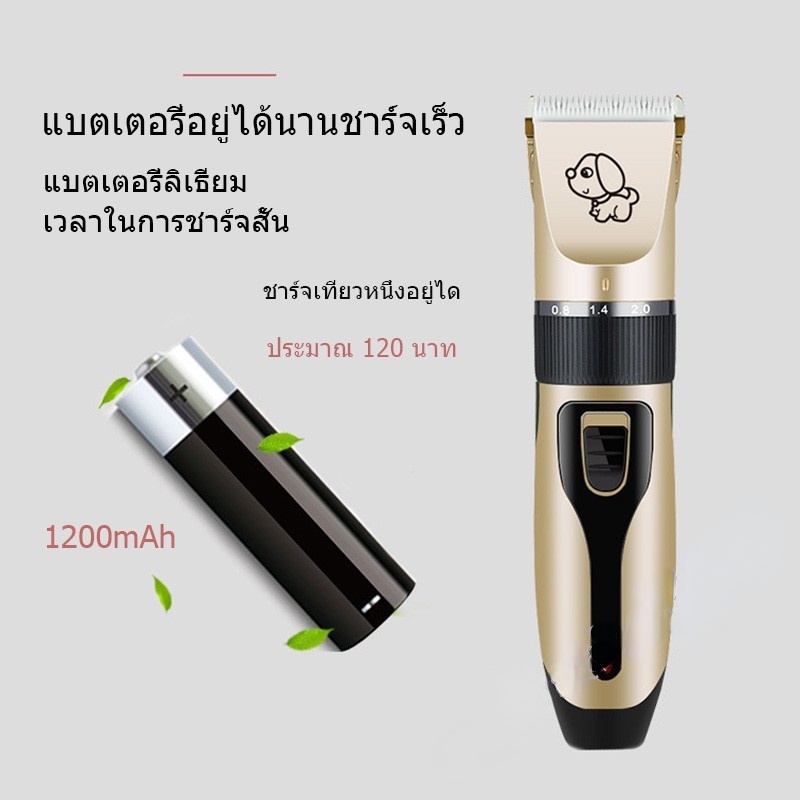 เครื่องตัดขนแมว-หมา-ที่ตัดขนแมว-ที่ตัดขนสุนัข-ที่ตัดขนหมา-ปัตตาเลี่ยนตัดขนแมวและสุนัข