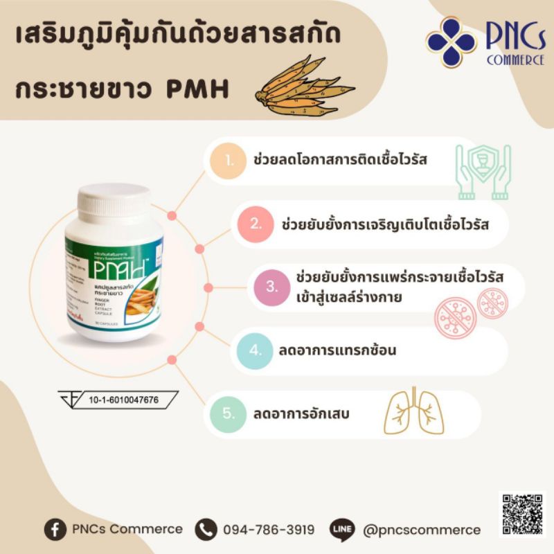 ภาพสินค้าสารสกัดกระชายขาวPMH ทีมนักวิจัยม.มหิดล ราคาพิเศษ   (1กระปุก 30แคปซูล) ส่งฟรี พร้อมส่งค่ะ จากร้าน pncs_commerce บน Shopee ภาพที่ 2