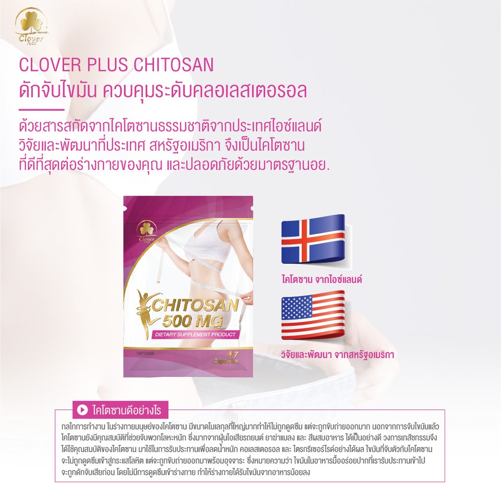 clover-plus-chitosan-500-mg-7-แคปซูล-อาหารเสริมไคโตซานจากธรรมชาติ-ช่วยดักจับไขมัน-ควบคุมระดับคลอเรสเตอรอล