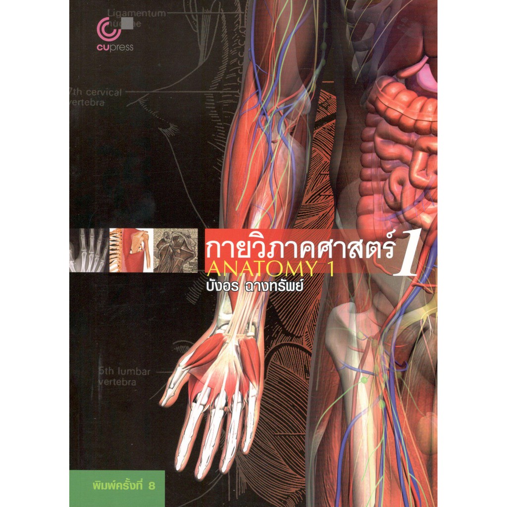 chulabook-9789749941911-กายวิภาคศาสตร์-1-anatomy-1