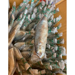 ภาพขนาดย่อของภาพหน้าปกสินค้าปลาทูหอม ปลาทูมัน แบ่งขายเป็นตัวๆ เค็มกำลังดี เนื้อแน่นกำลังดี เกรด A จากร้าน knp2323 บน Shopee