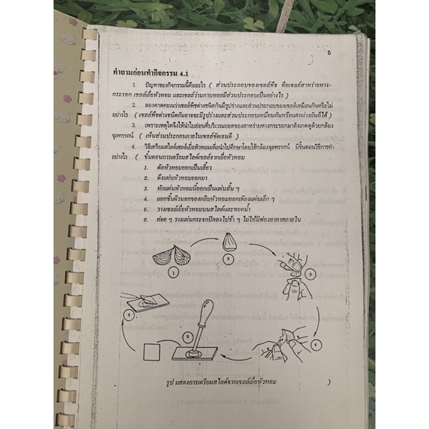 เอกสารประกอบการเรียน-พืช-ว-102-มือ-2