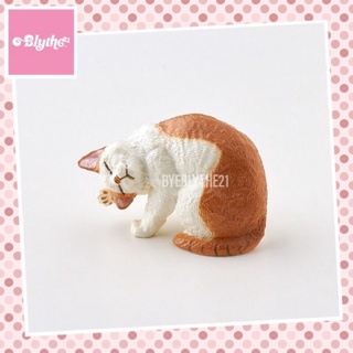 Gashapon Model Figure Miniature โมเดลแมว ฟิกเกอร์แมวเลียขน กาชาปองแมว
