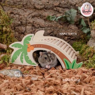 ภาพขนาดย่อของภาพหน้าปกสินค้าPremium Coco Bedding รองกรง กากมะพร้าว รองกรงสำหรับสัตว์เลี้ยง Niteangle แฮมสเตอร์ เม่นแคระ จากร้าน hamsterthailand บน Shopee ภาพที่ 2