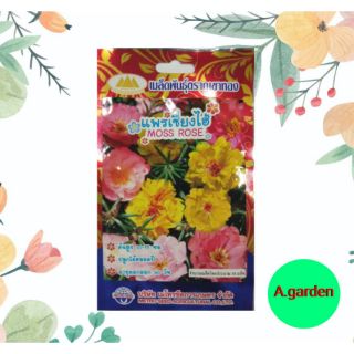 เมล็ดพันธุ์ดอกแพรเซี่ยงไฮ้ ( MOSS ROSE )  แพ็ค 10 ซอง