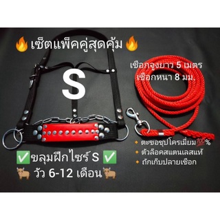 ขลุมวัวฝึกเข้าหนังแท้+สายจูงวัว+สายจูงสัตว์เลี้ยง+สายจูงยาว 5 เมตร เชือกในล่อนแท้หนา 8 มม + แพ็คเกจคู่ สุดคุ้ม