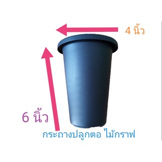 กระถางไม้กราฟ​ 4x6นิ้ว​ กระถางทรงสูงปลูกตอ ปลูกไม้กราฟ​