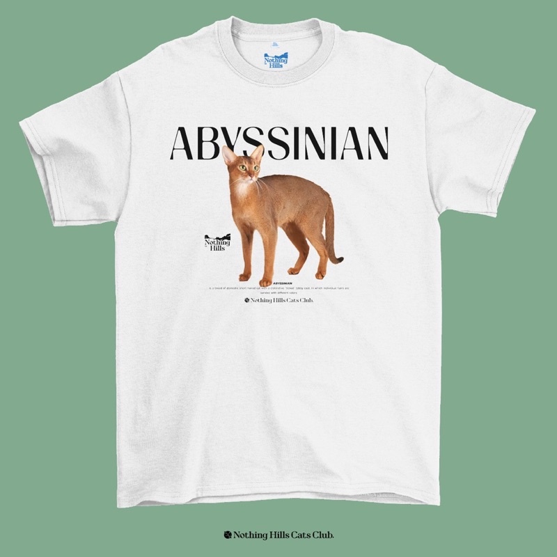 เสื้อยืดลาย-abyssinian-cat-อะบิสซิเนียน-classic-cotton-unisex-by-nothing-hills-ใหม่