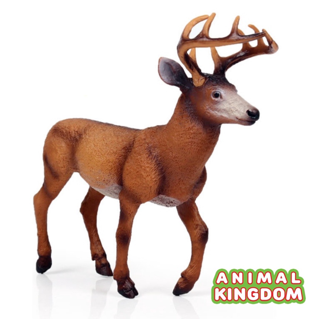 animal-kingdom-โมเดลสัตว์-กวาง-แดง-ขนาด-16-00-cm-จากหาดใหญ่