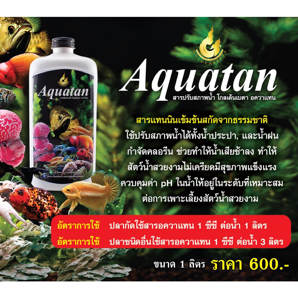 ภาพหน้าปกสินค้าGOLDENBETTA Aquatan สารเสริมประสิทธิภาพน้ำ สูตรน้ำสีส้ม (50 cc) จากร้าน goldenbetta_products บน Shopee