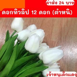 แพ็ค 12 ดอก [มีตำหนิ] ดอกทิวลิป ดอกไม้ปลอม ดอกไม้ตกแต่งบ้าน ดอกทิวลิปสีขาว ดอกทิวลิปโชว์ก้าน Tulip Flower