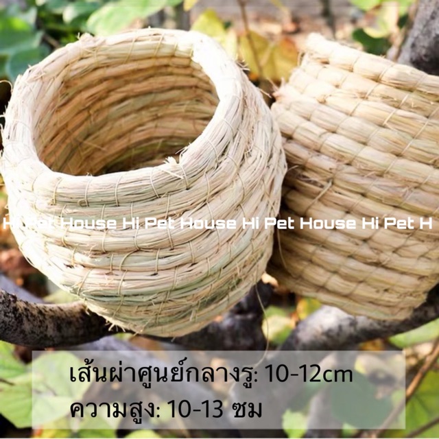 dandan-birds-nest-บ้านนก-นกแก้วขนาดเล็ก-ฟอพัส-เลิฟเบิด-หงหยก-มีพร้อมส่ง