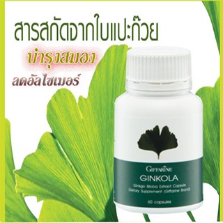 ภาพขนาดย่อของภาพหน้าปกสินค้าส่งฟรี มีโปร GINKOLA GIFFARINE จิงโกลา กิฟฟารีน  สารสกัดจากแปะก๊ยว อาหารเสริม จากร้าน giffarinesale50per บน Shopee ภาพที่ 2