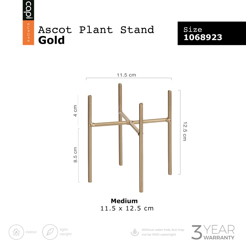 1068923-ascot-plant-stand-gold-ขาตั้งกระถางต้นไม้-size-d-11-5-x-h-12-5-cm