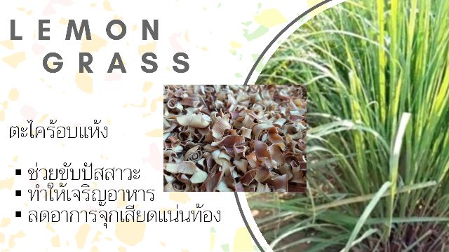 ภาพหน้าปกสินค้าตะไคร้ ตะไคร้อบแห้ง Lemon grass 30 กรัม จากร้าน thaijanhomherbs บน Shopee