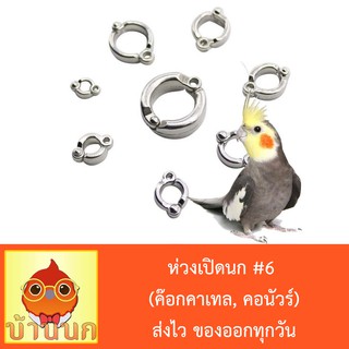 สินค้า ห่วงเปิดนก #6 ห่วงขานก  แหวนนก (ค๊อกคาเทล, คอนัวร์,กรีนชีค)