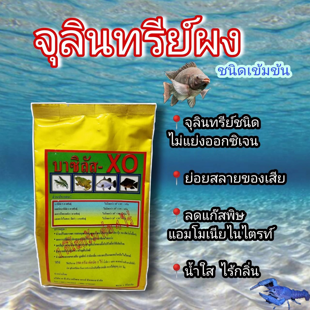 บาซิลลัส-จุลินทรีย์-หัวเชื้อเข้มข้น-สำหรับบ่อเลี้ยงสัตว์น้ำ-บำบัดน้ำเสีย-1-กิโลกรัม